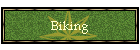 Biking