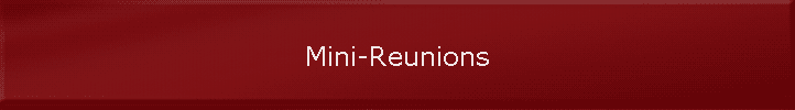 Mini-Reunions