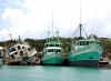 GuanajaFishingFleet1web.jpg (37766 bytes)