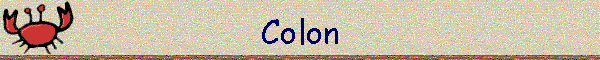 Colon